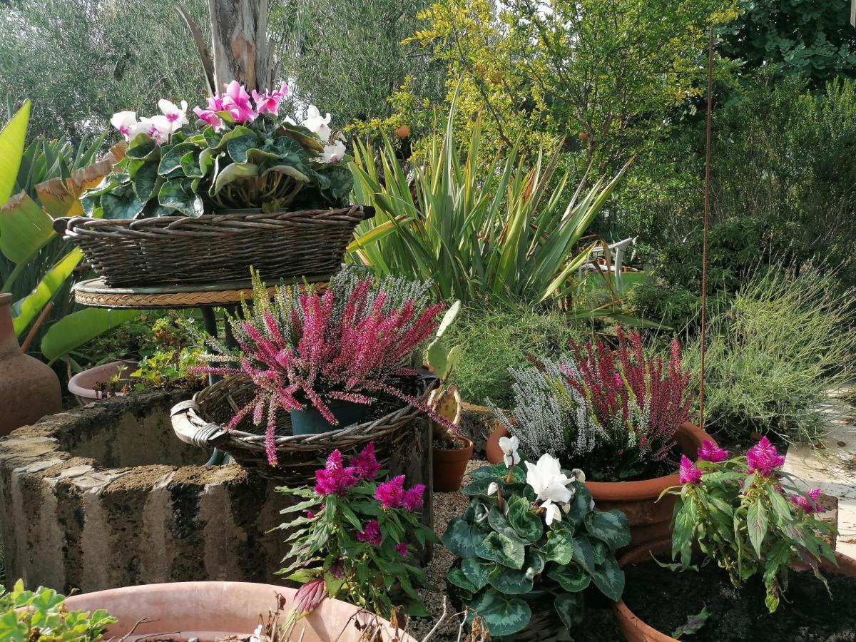Il Giardino Del Te Otel Barletta Dış mekan fotoğraf