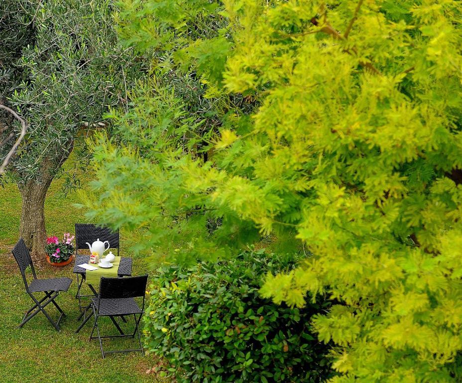 Il Giardino Del Te Otel Barletta Dış mekan fotoğraf